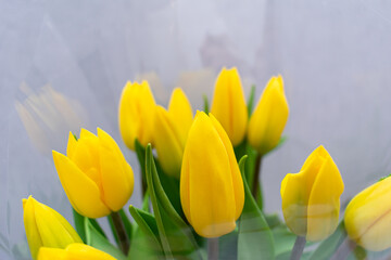 Bouquet of beautiful yellow tulips