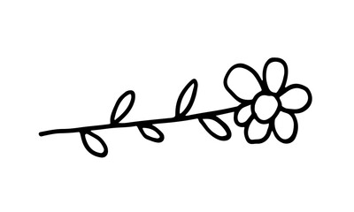 Doodle illustration of flower. Spring season. Hand drawn simple element. St Vaentines or mothers day greeting card
