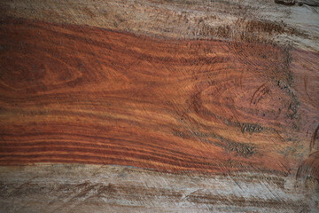 surface of the wood, the bark is used as a natural background.