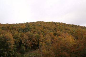 Autumn in the mountains of Friuli, Italy