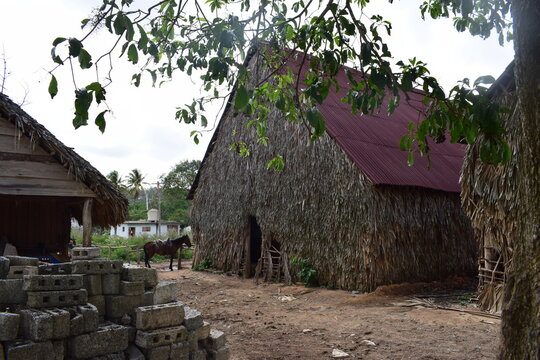 Tabacco Barn