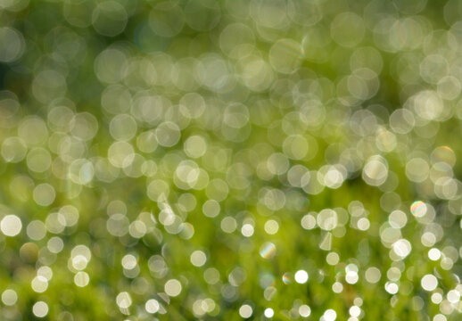 Bokeh