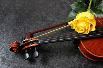 Violin, yellow rose on black background. Top