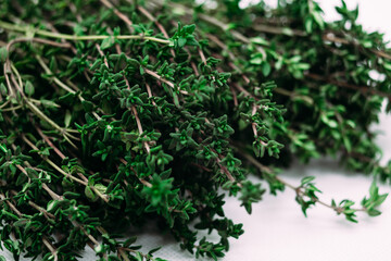 Bunch of thyme on white background