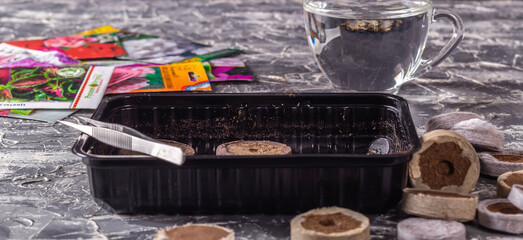 Preparing for planting flower seeds. Peat seedling tablets, tweezers, container, flower seed bags and a cup of water