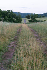 Dirt Road in a Grassland