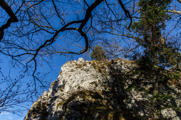 Pieniny 