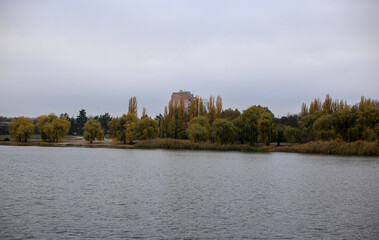 landscape with trees and lake