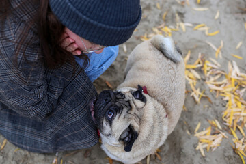 Pug gazing at woman from below, overhead view — training & communication theme