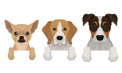 Dogs of Different Breeds Hanging on Border Vector Set