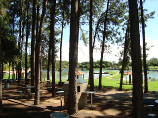 park in the park