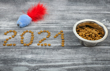 Metal pet food bowl on the wooden floor, toy for cat and written 2021 of dry food. Selective focus