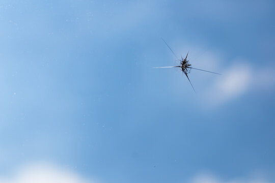 Broken windshield of a car. A web of radial splits, cracks on the triplex windshield. Broken car windshield.