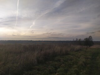 sunrise over the field