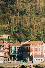 Obraz premium view of the town of kotor country