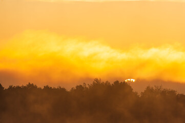 Sun rising above forest line