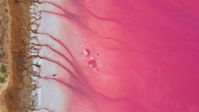 Aerial high angle drone view footage of Lemurian Lake, also called Pink Lake, Ukraine. The pink color results from red pigment secreted by microalgae in summer