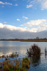 Landscape of Biesbosch Natioanl Park, North Brabant, Netherlands