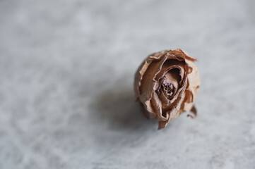 withered roses on a light background. Dried roses in a pink glass
