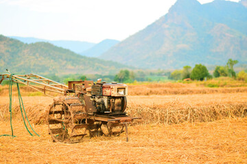Fototapeta premium combine harvester working on a field