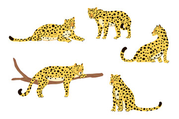 leopards safari animals hand drawn vector illustrations set