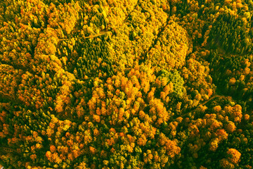 Aerial view of autumn forest in South styria Green hart of Austria