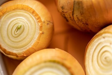 Obraz premium Multiple onions next to each other