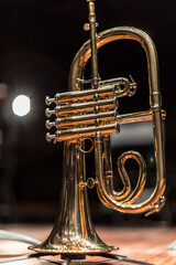 A flugelhorn on a stand