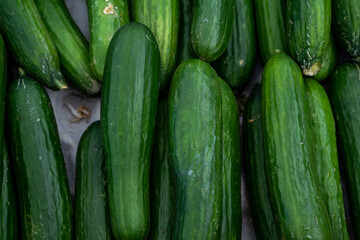 Green cucumbers on supermarket. Organic eating. Agriculture retailer. Farmer's food.