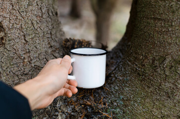 Fototapeta na wymiar Man holding mug of hot drink outside in forest. Close-up of male hand and mug with steam. Concept of hot drink in winter, hiking in the forest, adventure.