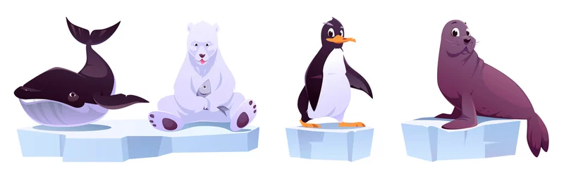 Foto op Canvas Cartoon wild animals on ice floes sea whale, white bear, penguin and seal. North Pole inhabitants in zoo park or outdoor area. Beasts in fauna isolated on white background, vector illustration, set © klyaksun