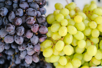 Red grapes at the market