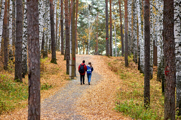 walk in the forest