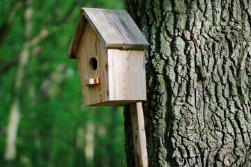 A wooden birdhouse for birds hangs on a tree. Birdhouse close-up with mockup