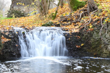 Fototapeta na wymiar A shoot of many waterfalls at long exposure, Latvia, autumn yellow fallen leaves