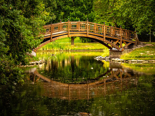 bridge over the river in a beautiful park and colourful nature