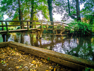 Fototapeta na wymiar bridge over the river in park