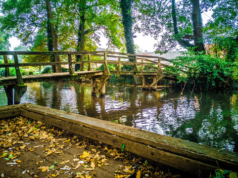 bridge over the river in park