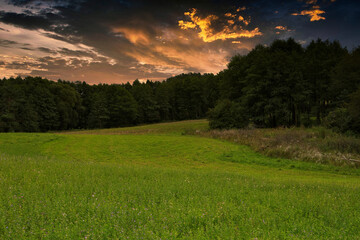 A mysterious sunset over a forest meadow