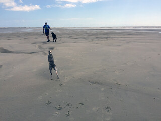 person walking on beach with dogs on St. Simons Island, Georgia, USA