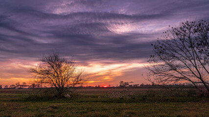Drzewo na tle barwnego zachodu słońca © Jakub