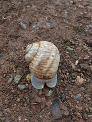 Güzelliğiyle cezbeden doğa fotoğrafları.