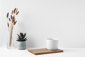 Mug on a wooden stand, house plant, vase. Eco-friendly materials in the decor of the room, minimalism. Copy space, mock up.