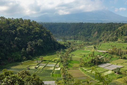 Mount Agung volcano in the distance, surrounded by a landscape of palm trees, farm fields, and rice fields, near the town of Besakih in the eastern part of the island of Bali, Indonesia.