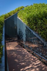 Original entrance to "Mirror Maze" recreation area. Evergreen Prunus lusitanica (Portuguese laurel) on artificial hill around labyrinth. City Park of Krasnodar. Public landscape park for recreation.
