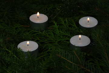 Evergreen branches and candels for christmas natural background green gałązki roślin iglastych bożonarodzeniowe tło roślinne ze świecami - obrazy, fototapety, plakaty
