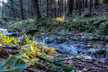 Water stream, Little Fatra, Slovakia