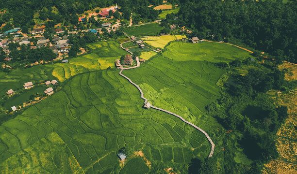 Bamboo Bridge in Pai, Mae Hong Son, Chiang Mai, thailand