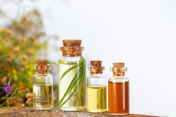 Collection of essential herbal oil bottles, aromatherapy or spa concept