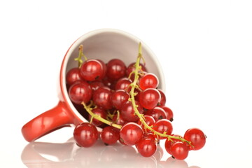 Ripe red currants, close-up, on a white background.